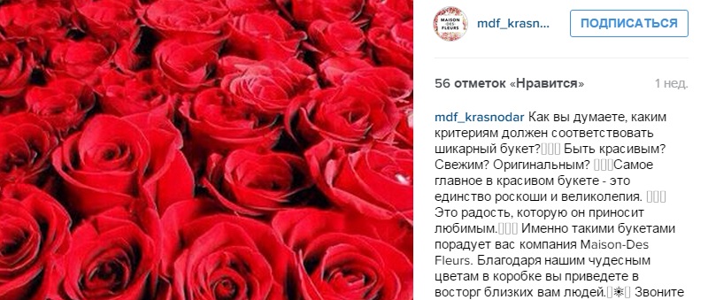 что подписать под фото в Инстаграм