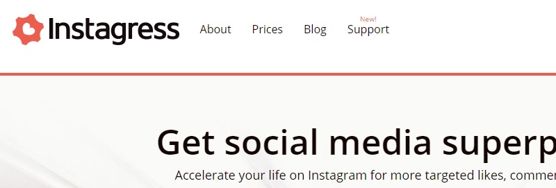 массовый фолловинг инстаграм 
