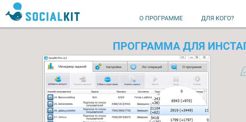 программа фолловинг инстаграм 