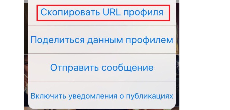 скинуть ссылку на инстаграм в вк