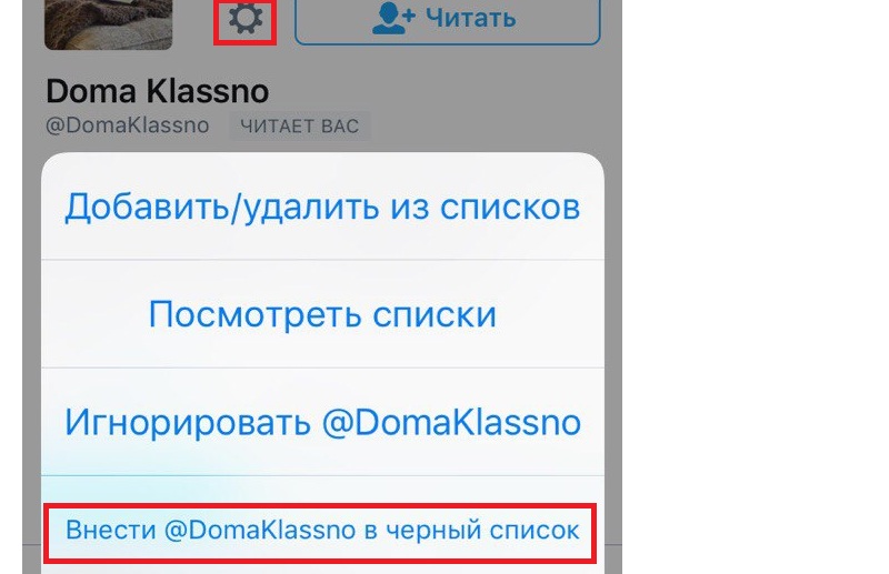 внести в твиттер в черный список