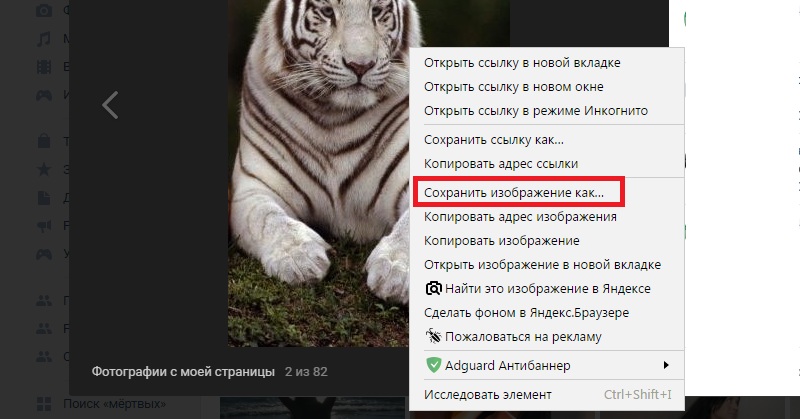 скачать фото в вк